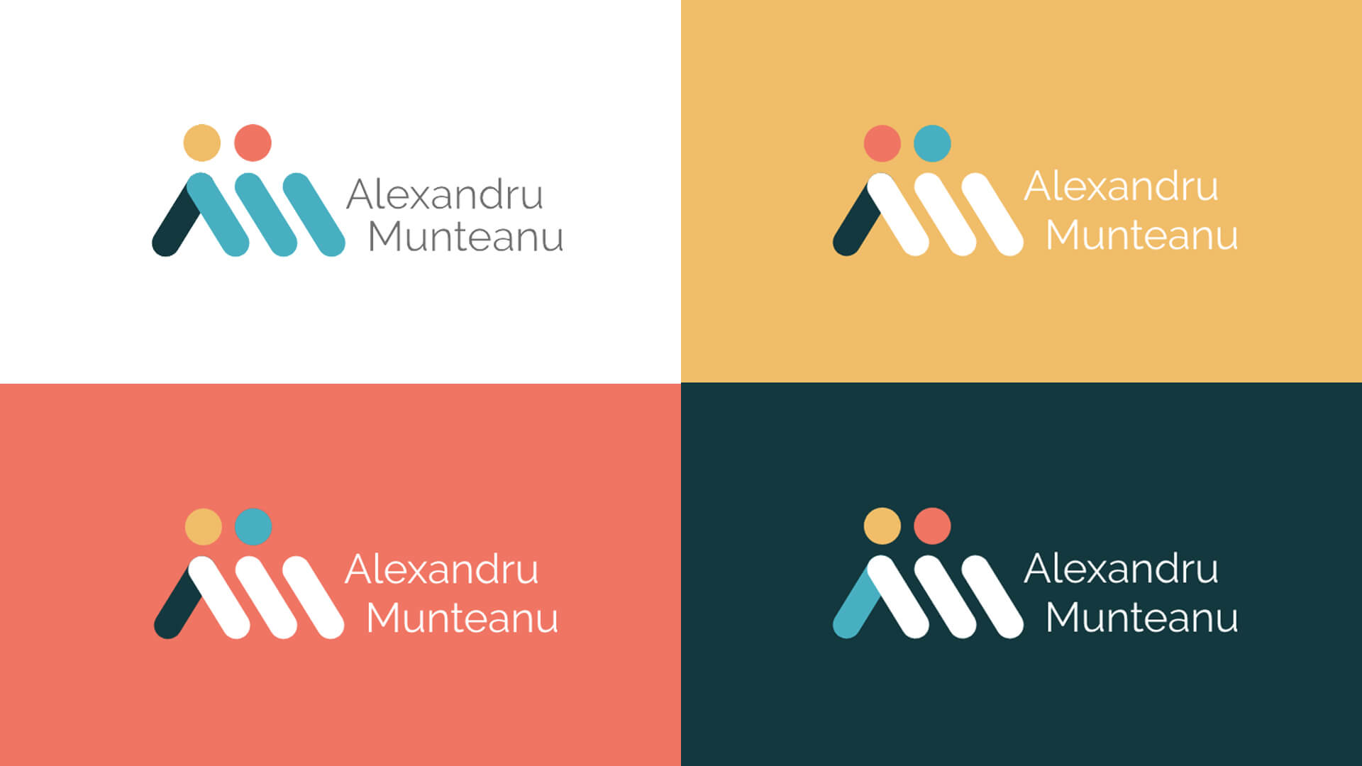 Color variants of the new brand